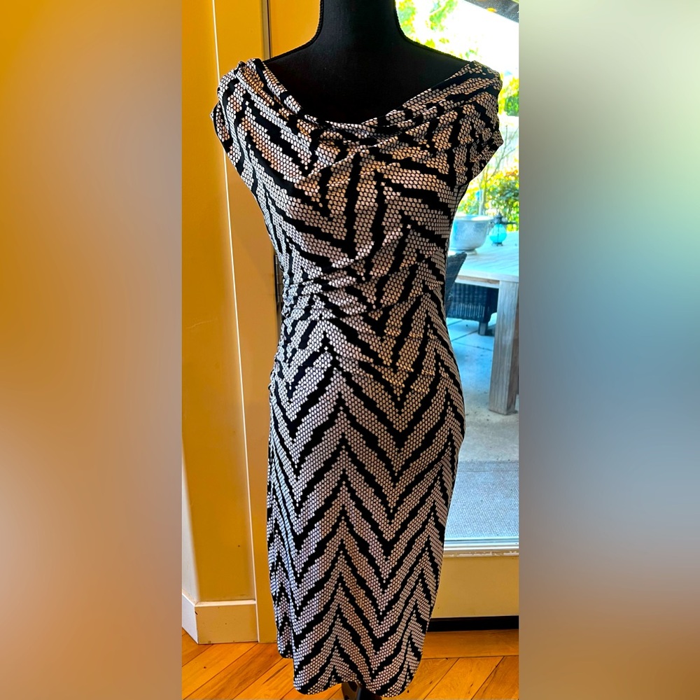 Fitted Cowl Neck Dress with One Sided Rushing.